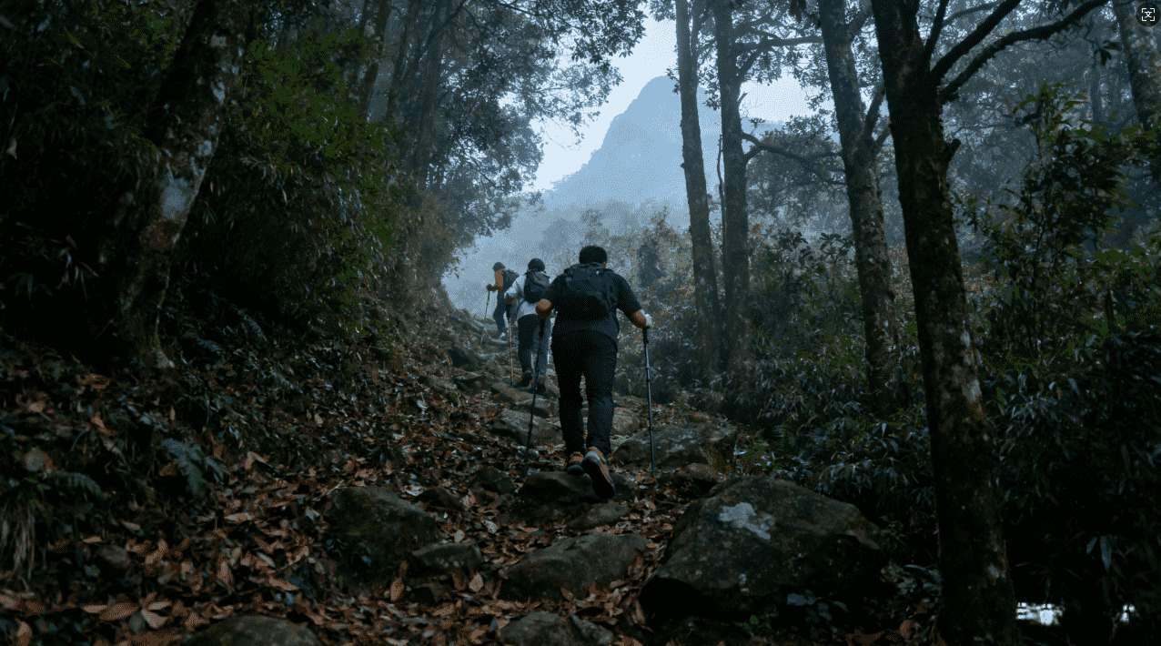 详细解析梯子外网极光加速器的优势与使用技巧